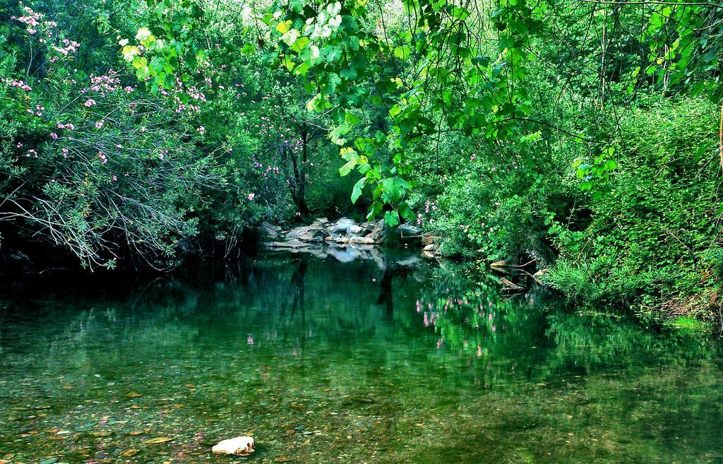 Centro De Naturaleza Canada 