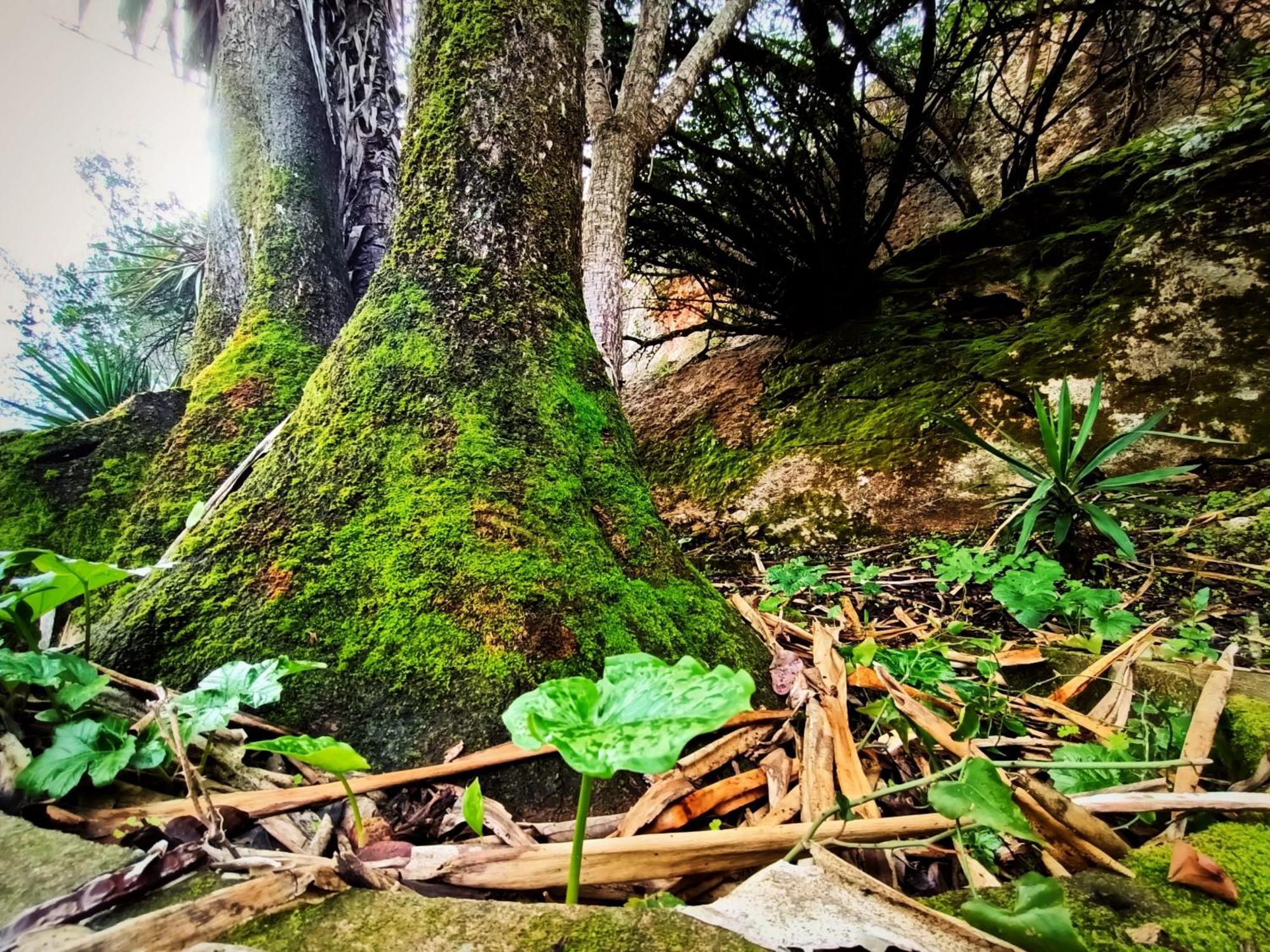 Centro De Naturaleza Canada 