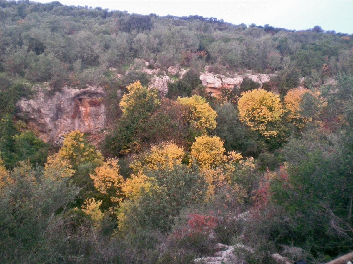 Centro De Naturaleza Canada 